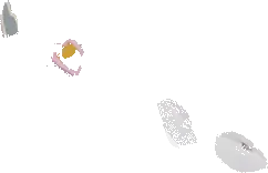 Skechers Sweetheart Lghts - Lets Shine 7 Skechers Sweetheart Lghts - Lets Shine - Image 5