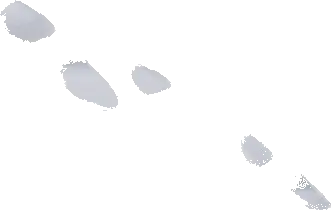 Skechers Twisty Brights - Novlo 7 Skechers Twisty Brights - Novlo - Image 5